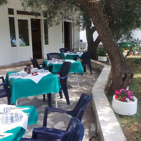 Pension Vice Gradac  Εξωτερικό φωτογραφία