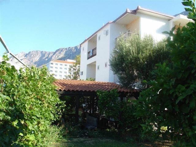 Pension Vice Gradac  Εξωτερικό φωτογραφία