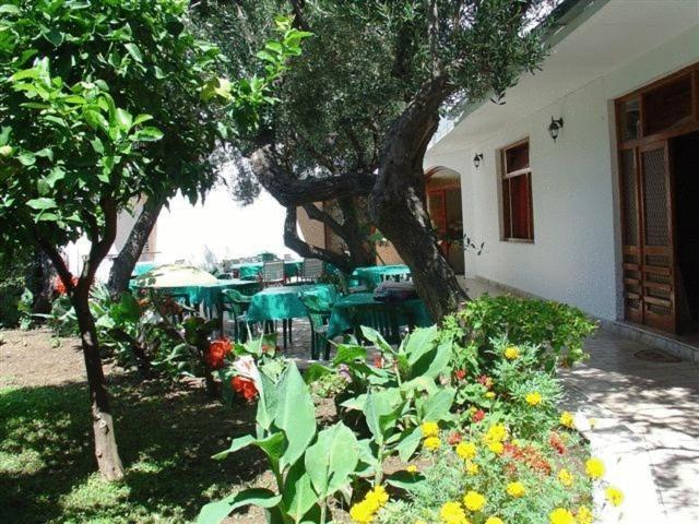Pension Vice Gradac  Εξωτερικό φωτογραφία