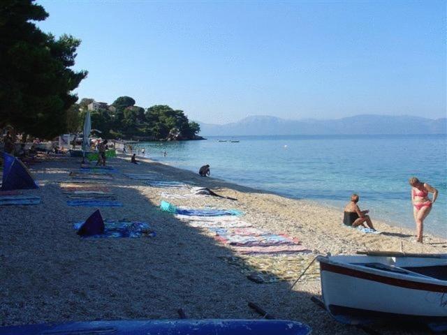 Pension Vice Gradac  Εξωτερικό φωτογραφία