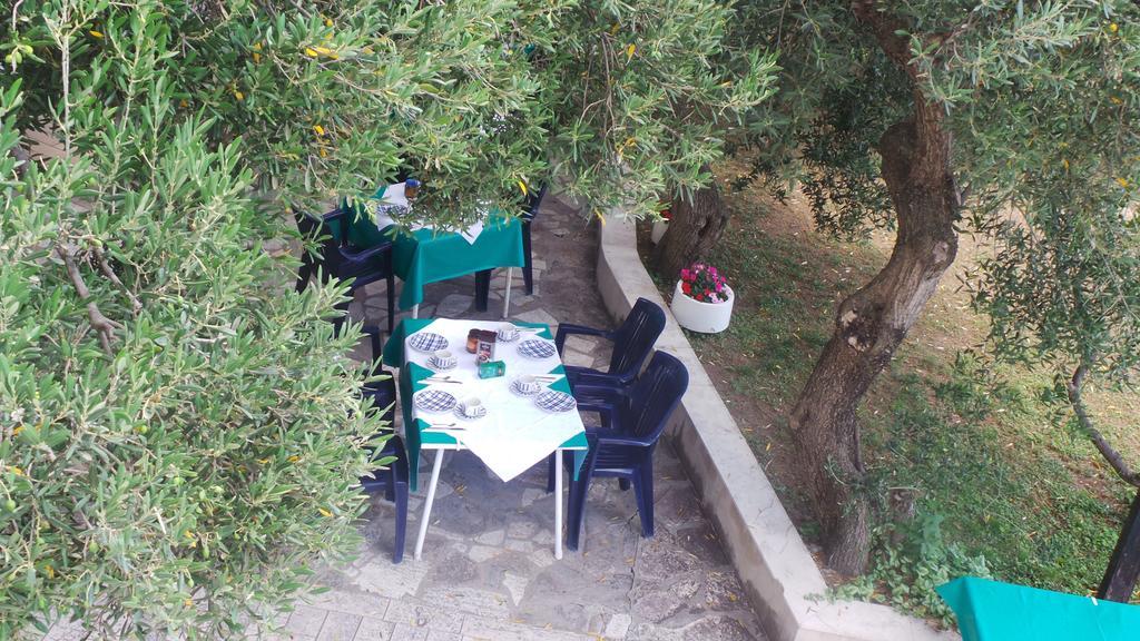 Pension Vice Gradac  Εξωτερικό φωτογραφία