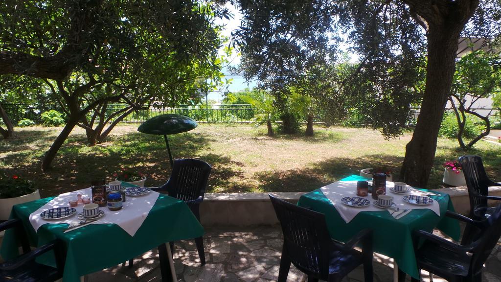 Pension Vice Gradac  Εξωτερικό φωτογραφία