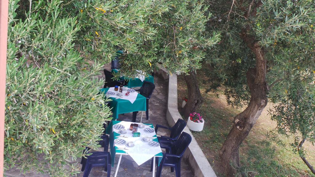 Pension Vice Gradac  Εξωτερικό φωτογραφία