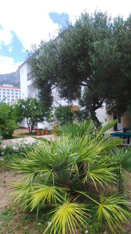Pension Vice Gradac  Εξωτερικό φωτογραφία